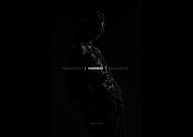 Harness: Highlighted Silhouettes - Jewelry Masters Thesis