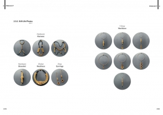 Harness: Highlighted Silhouettes - Jewelry Masters Thesis - Project