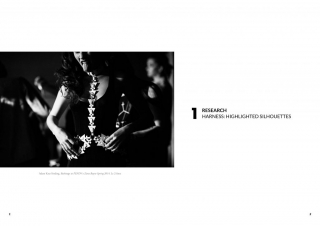 Harness: Highlighted Silhouettes - Jewelry Masters Thesis - Research