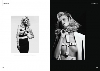 Harness: Highlighted Silhouettes - Jewelry Masters Thesis - Research