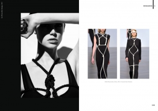 Harness: Highlighted Silhouettes - Jewelry Masters Thesis - Research