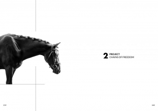 Harness: Highlighted Silhouettes - Jewelry Masters Thesis - Project